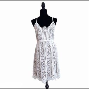 NWT Plenty by Tracy Reese Directional Lace Dress